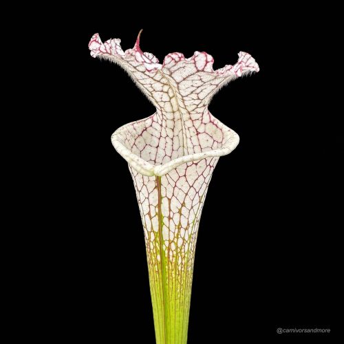 AU9MdRdxaiyXvzn5tj43.jpg AU9MdRdxaiyXvzn5tj43.jpg