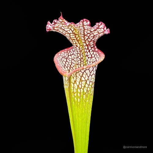 DBI24kJ6HcyeHbNZOjYq.jpg DBI24kJ6HcyeHbNZOjYq.jpg