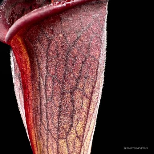 DkK4LzVLsRS0dh4FTvbV.jpg DkK4LzVLsRS0dh4FTvbV.jpg