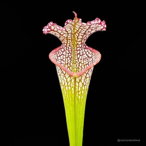 EbxM3M0mfHswcUjRaLl8.jpg EbxM3M0mfHswcUjRaLl8.jpg