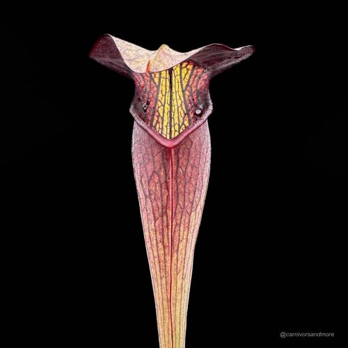 FcZh7lHaFRGUlLGBhba9.jpg FcZh7lHaFRGUlLGBhba9.jpg