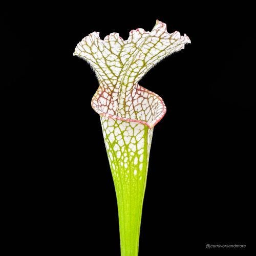 O2BCaxZD09BYsUkHjgO5.jpg O2BCaxZD09BYsUkHjgO5.jpg