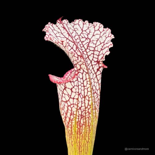 ZnJzemJ6QyQj9Dqks8nv.jpg ZnJzemJ6QyQj9Dqks8nv.jpg