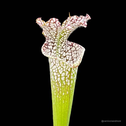 c4rlrbslF6aB47dZgjtT.jpg c4rlrbslF6aB47dZgjtT.jpg