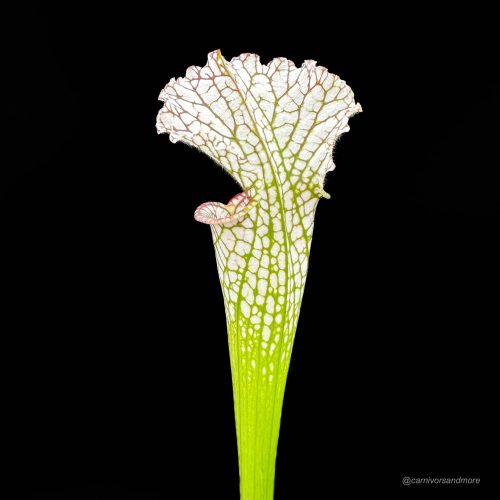 ddIpVi0F5PglyvCgrnRu.jpg ddIpVi0F5PglyvCgrnRu.jpg