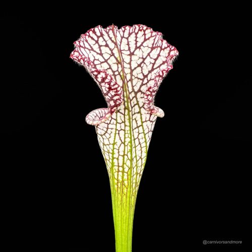 etMr4VAjanvPX11rXdUz.jpg etMr4VAjanvPX11rXdUz.jpg