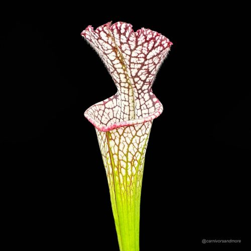 fjfurRQrobHGXxRPG7w1.jpg fjfurRQrobHGXxRPG7w1.jpg