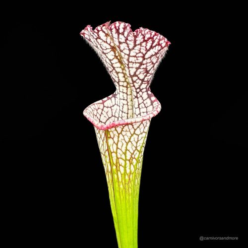 fjfurRQrobHGXxRPG7w1.jpg fjfurRQrobHGXxRPG7w1.jpg