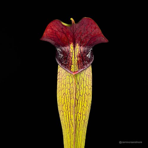 tpYYm8W6YT878sSmvAfG.jpg tpYYm8W6YT878sSmvAfG.jpg