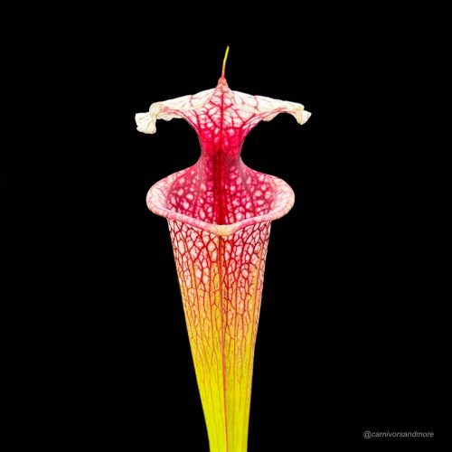 vUd37ajVBCKWXeOumcje.jpg vUd37ajVBCKWXeOumcje.jpg