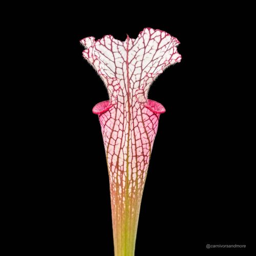 xN4xwhbqgziqLaXb7YEm.jpg xN4xwhbqgziqLaXb7YEm.jpg